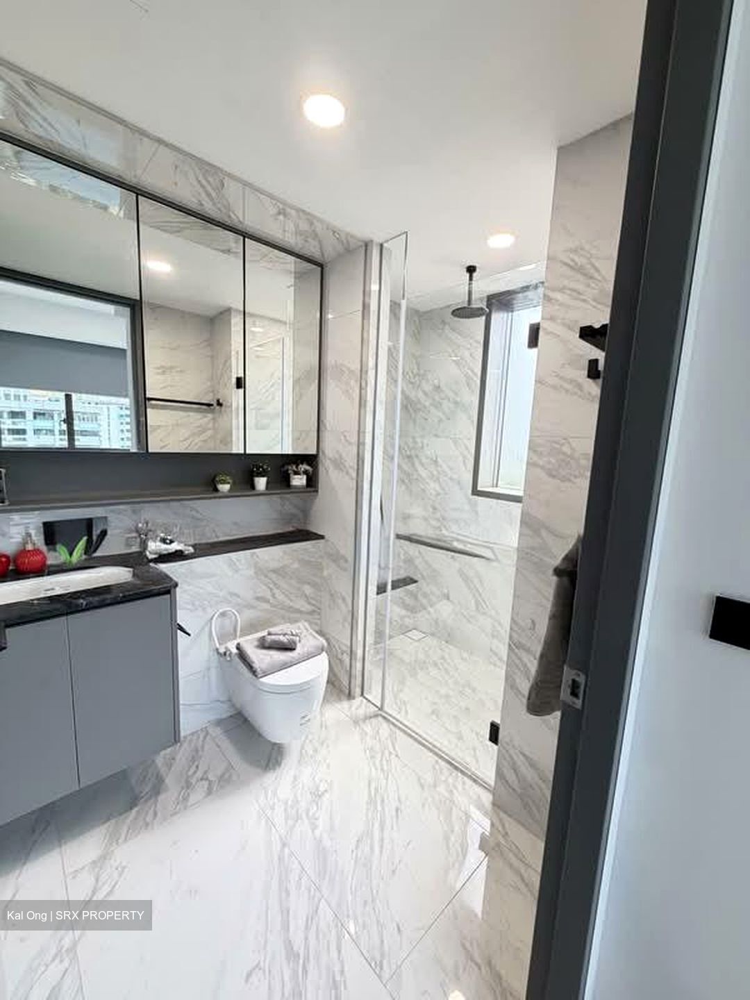The Landmark (D3), Condominium #557909661